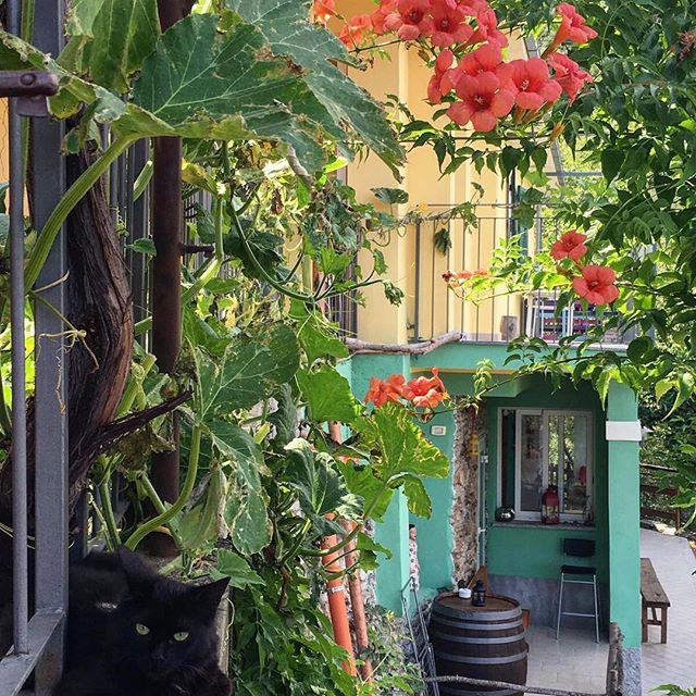 13712304_1187638201275791_496671525_n